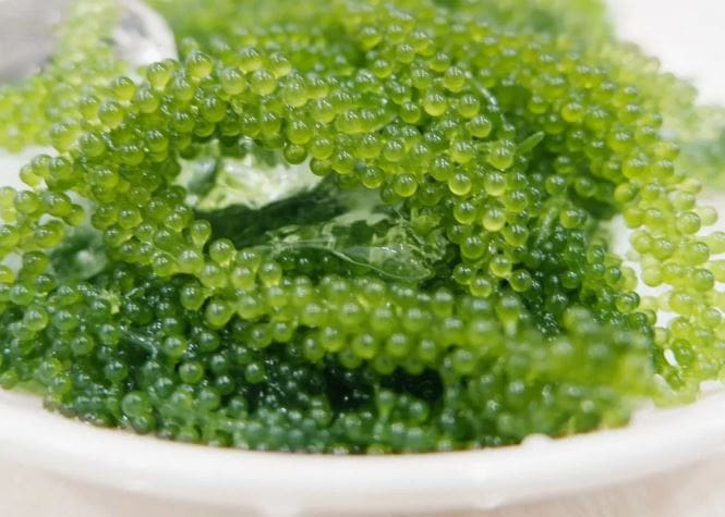 فروش خاویار میوه ای